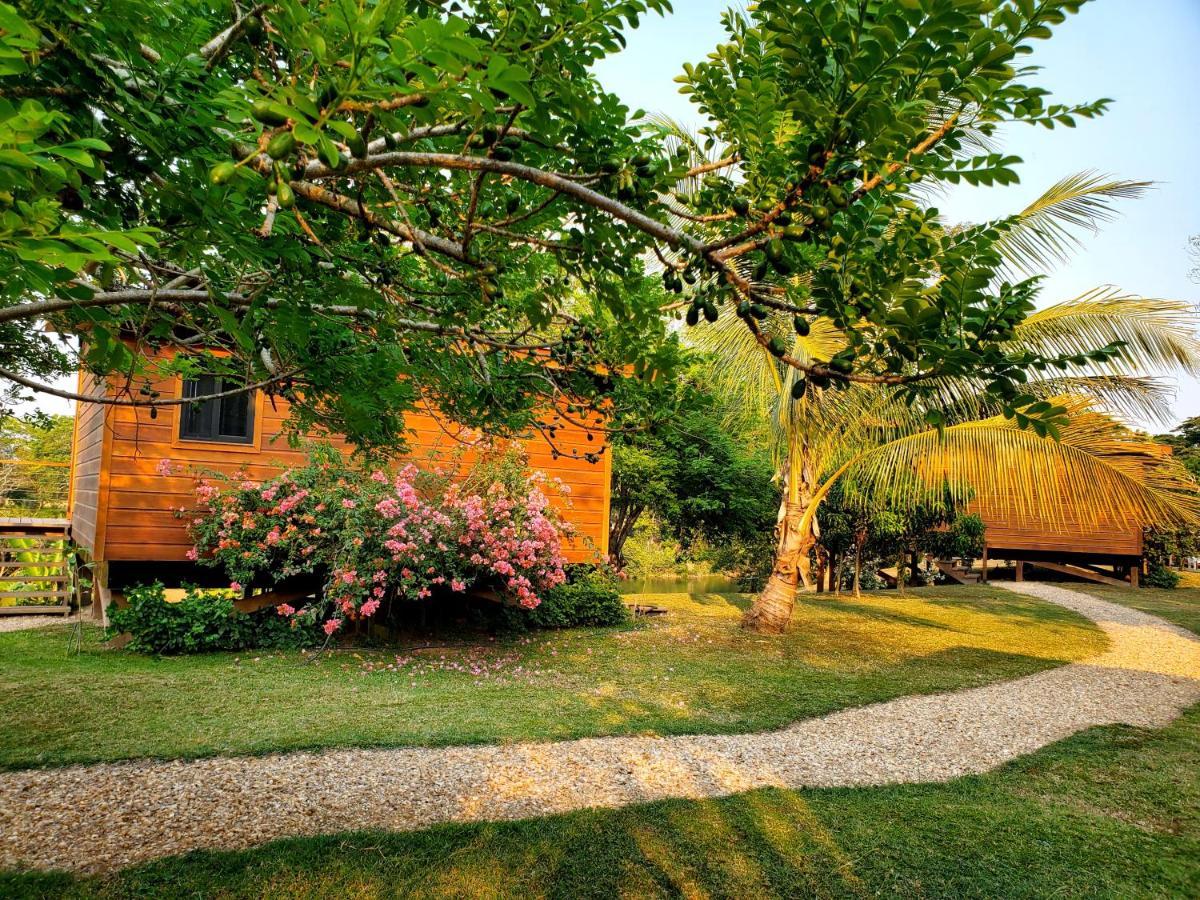 Yumas Riverfront Lodge San Ignacio Eksteriør bilde