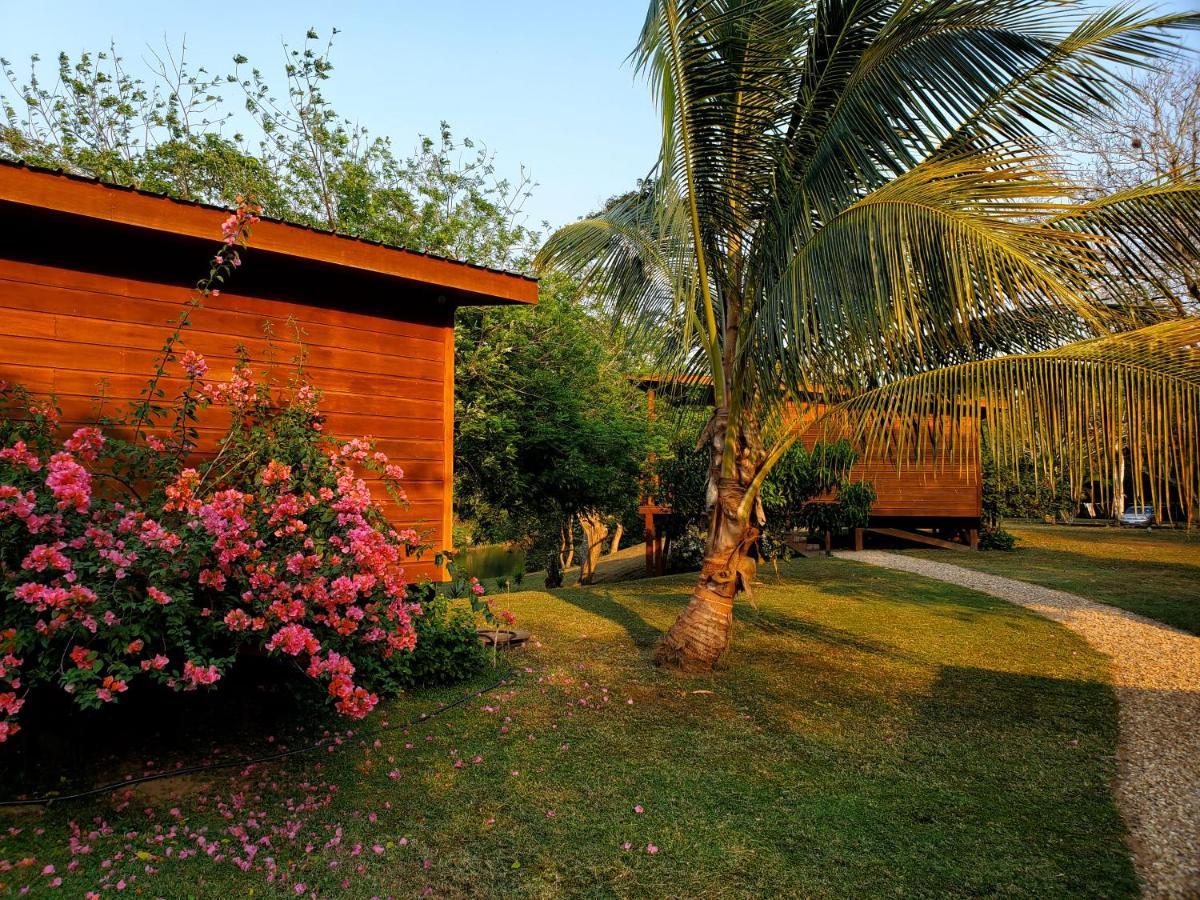 Yumas Riverfront Lodge San Ignacio Eksteriør bilde