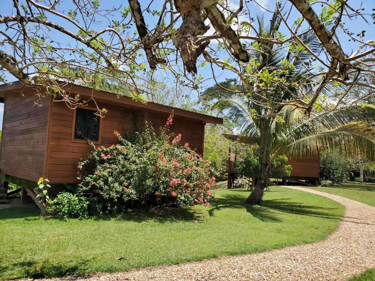 Yumas Riverfront Lodge San Ignacio Eksteriør bilde