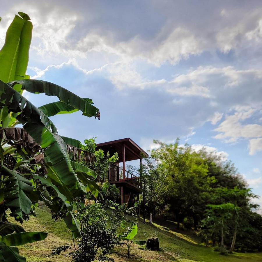 Yumas Riverfront Lodge San Ignacio Eksteriør bilde
