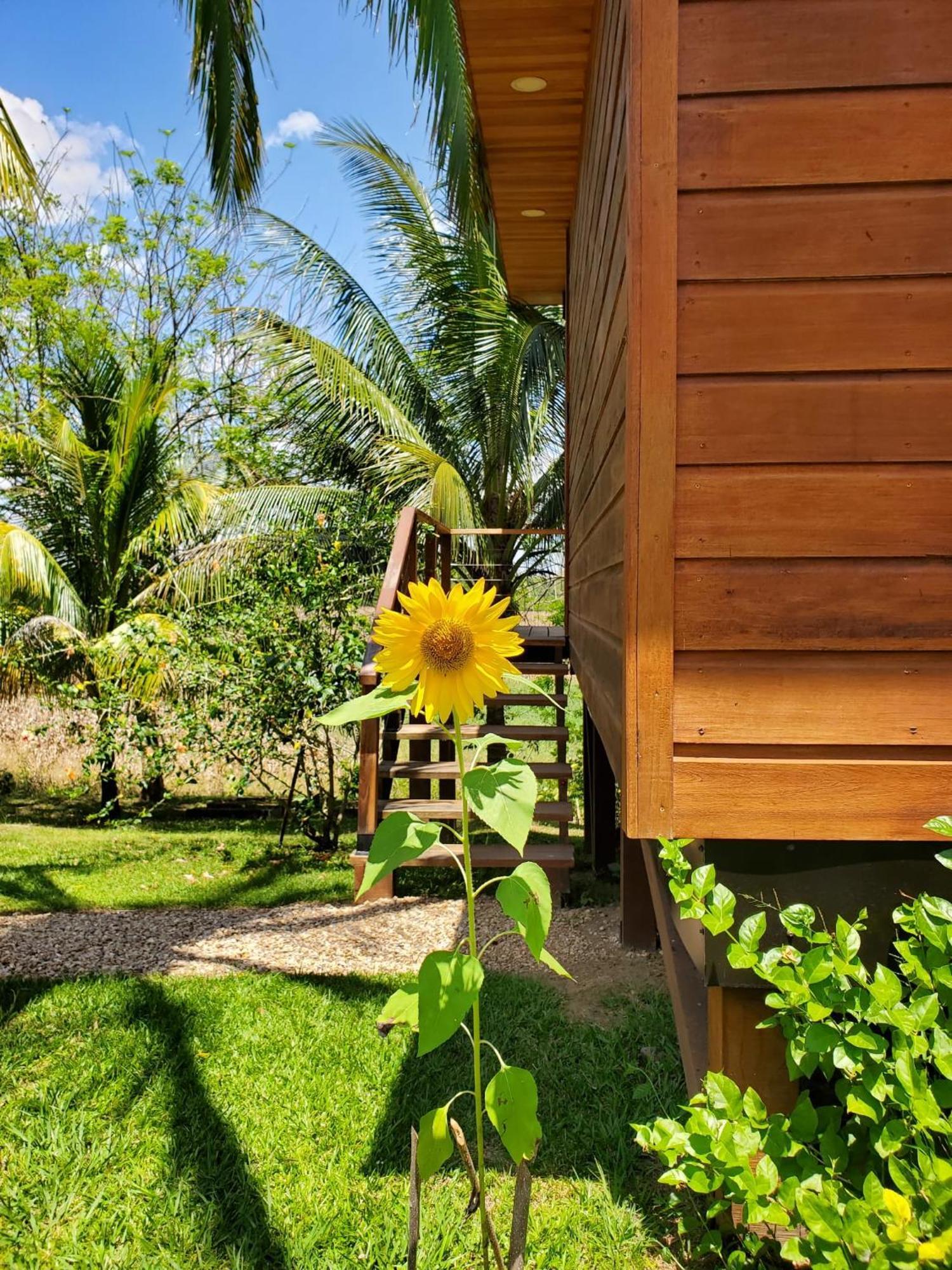 Yumas Riverfront Lodge San Ignacio Eksteriør bilde