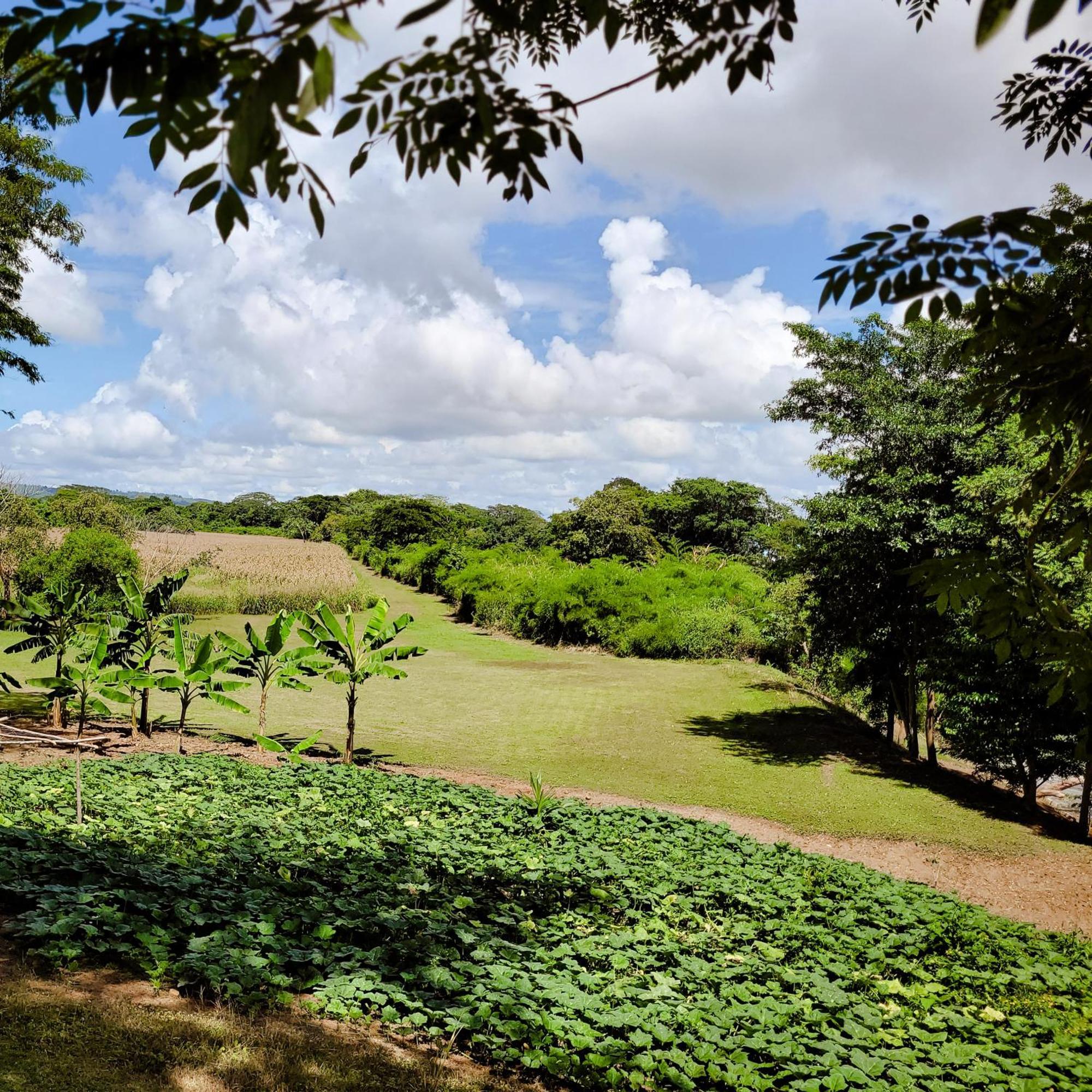 Yumas Riverfront Lodge San Ignacio Eksteriør bilde