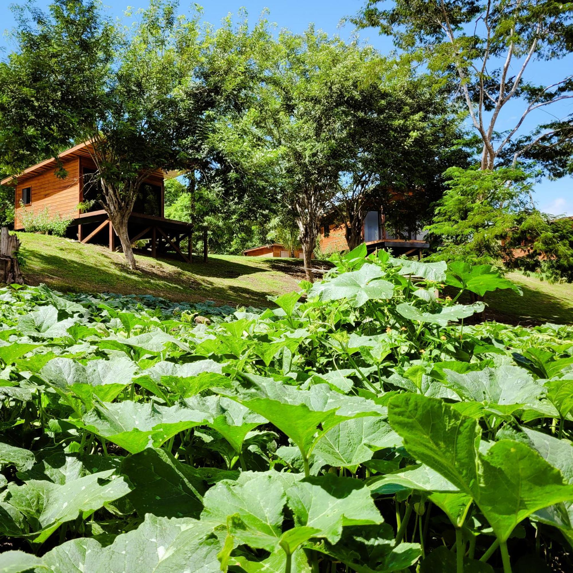 Yumas Riverfront Lodge San Ignacio Eksteriør bilde