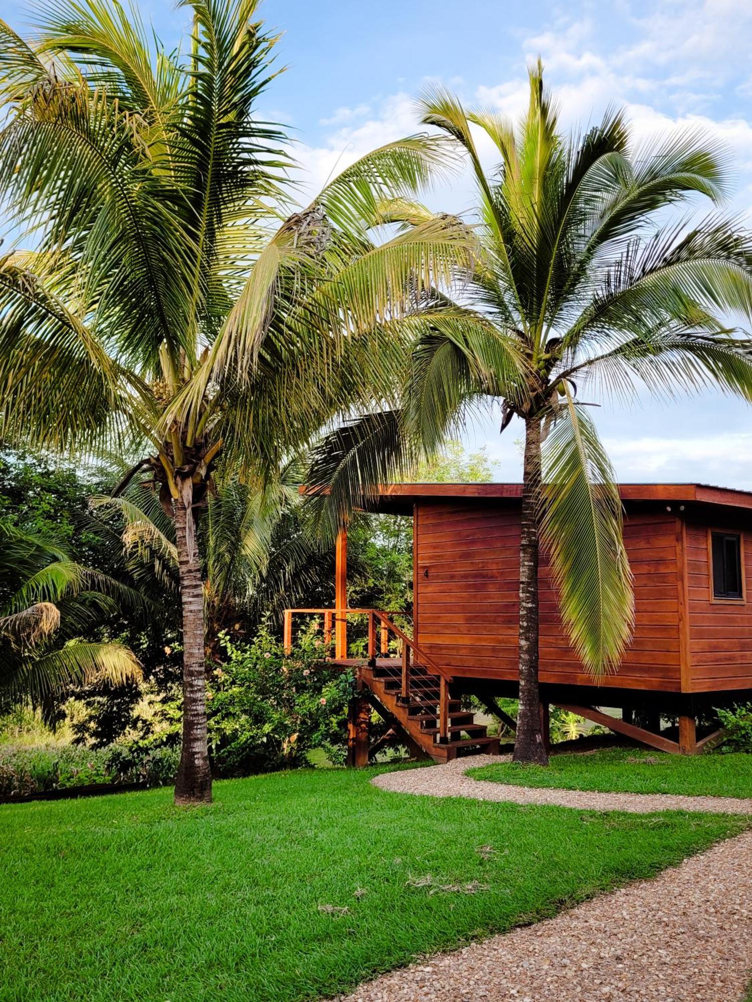 Yumas Riverfront Lodge San Ignacio Eksteriør bilde